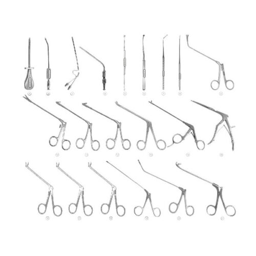 ENT Fess Instruments Set Endoscopic Sinus Surgery ENT Instrument Sets  (Set of 21)